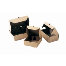 CAJA MICRO DELIVERY (15X23X9) X 100 UNID CAJA MICRO DELIVERY (15X23X9) X 100 UNID