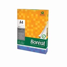 RESMA PAMPA A4 Y BIO (21X29 CM) 75 GRS 500 HOJAS X 1 UNID