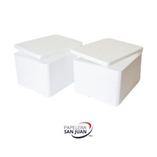 HELADERA BIG BOX C/TAPA X1 (37X30X22)