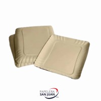 BANDEJA CARTON ECONOMICA N 1 (16.5 X 13.5 CM) X 100 UNID